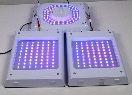 Colore facciale della macchina 24W 6 di terapia della luce di luce rossa PDT LED per acne